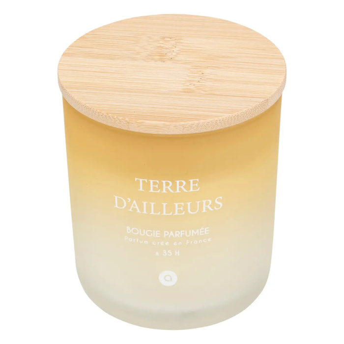 Bougie parfumée "Terre d ailleurs" pétales de musc 255g