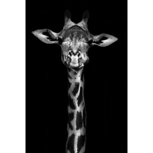 Tableau girafe haute en portrait Tableau alu Dibond