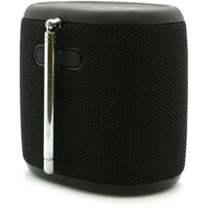 Radio DAB PURE Woodland Mini Black
