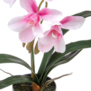 Orchidea Cymbidium Con 1 Diramazione In Vaso. Altezza 48 Cm - Pezzi 1 - 25X48X25cm - Colore: Rosa - Bianchi Dino - Piante Artificiali