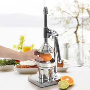 Presse Agrumes A Levier