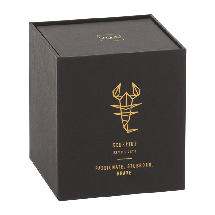 J-Line bougie parfumée Astro Scorpion – Rainbow Reef – noir - 50H