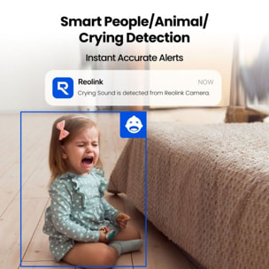 Caméra de surveillance REOLINK E321 2K