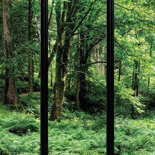 Papier peint, fenêtre sur sous-bois Intissé