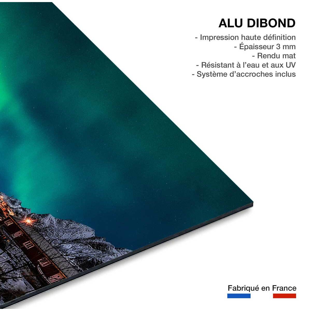 Tableau paysage passerelle borealis  Tableau alu Dibond