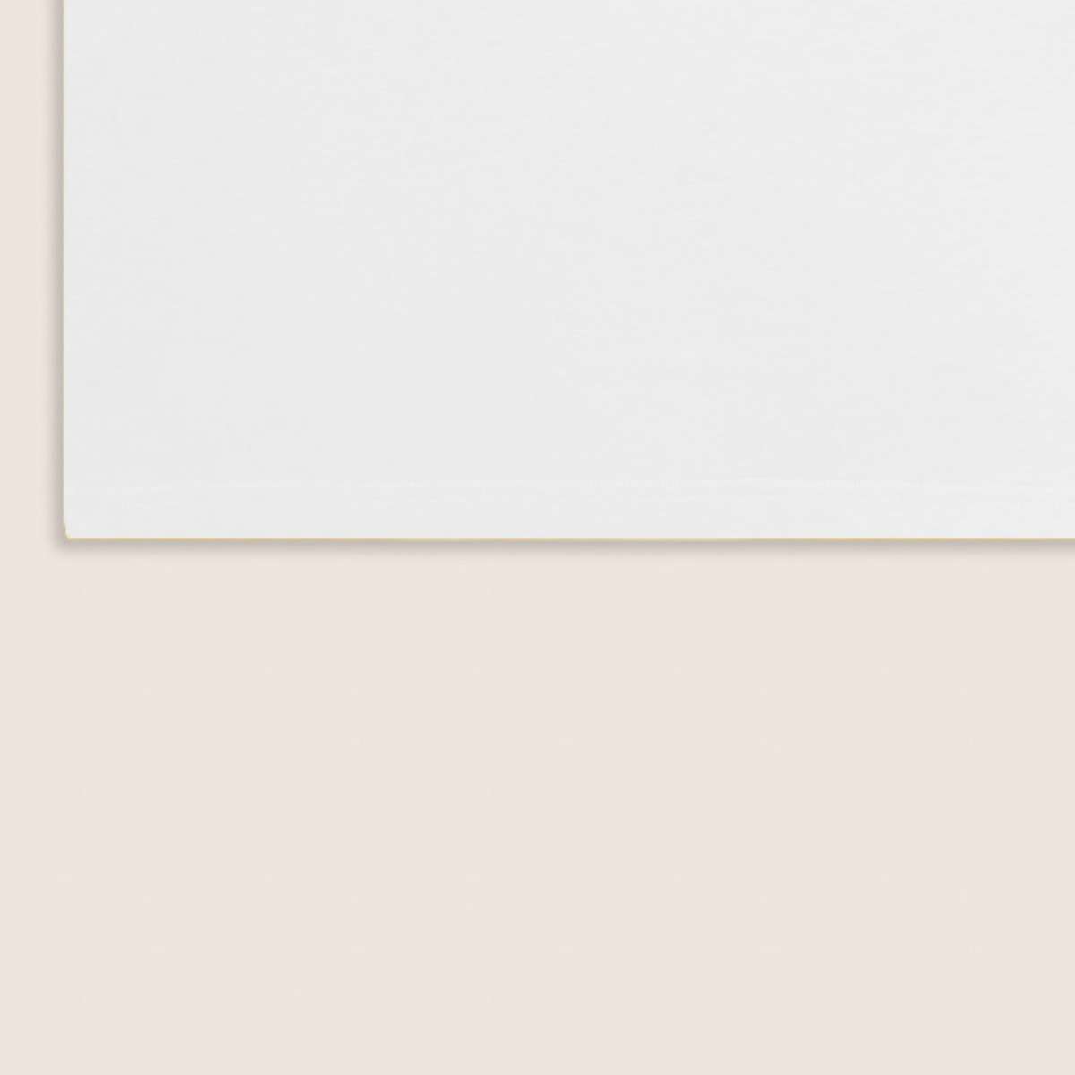 T-shirt in cotone a manica corta con logo FREDDY