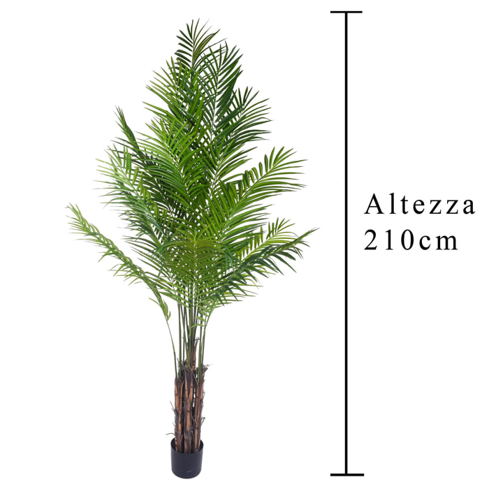 Areca Palm Con Vaso - Pezzi 1 - 130X210X130cm - Colore Verde - Bianchi Dino -