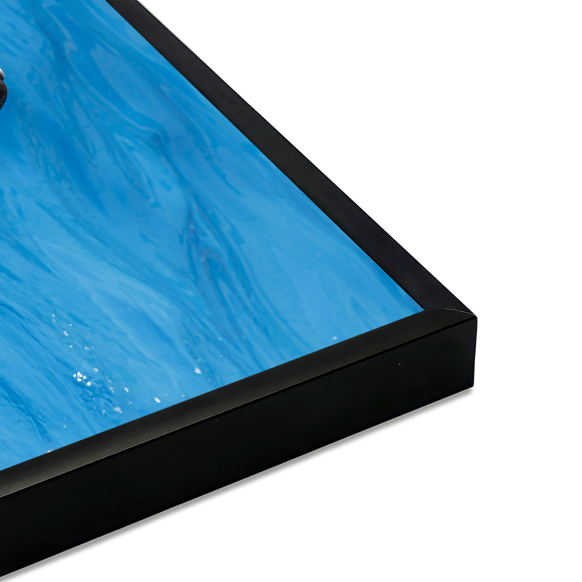 Affiche encadrée dauphins en duo dans l’océan Affiche + cadre en métal - Noir