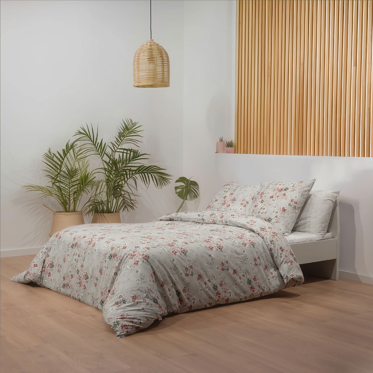 Juego de funda nórdica 240x220 cm + 2 fundas de almohada 65x65 cm - 100% algodón percal - LINDSAY -