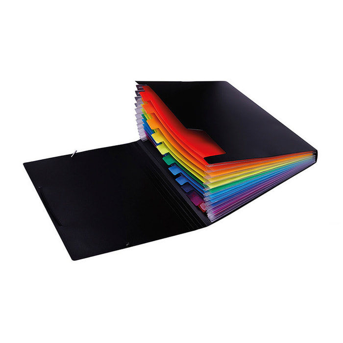 Cartella ad espansione A4 con elastico multicolore