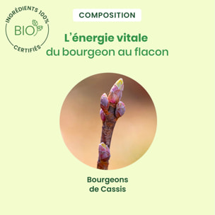 Herbalgem- Bourgeon de Cassis - format spray - Bio - 15 ml