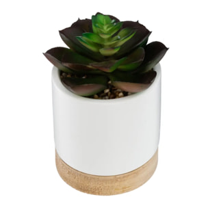 Succulente artificielle pot céramique H12cm
