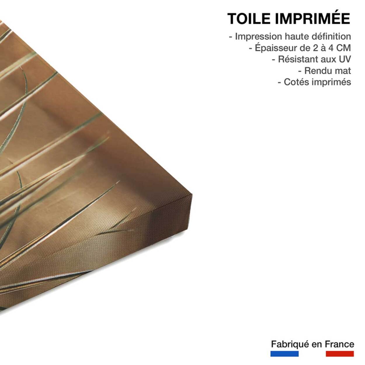 Tableau golden palm Toile imprimée