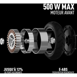 Trottinette électrique NINEBOT E2 Plus II by Segway