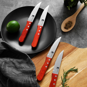 Bergner LOVERS Set de 4 Cuchillos BBQ en acero inoxidable