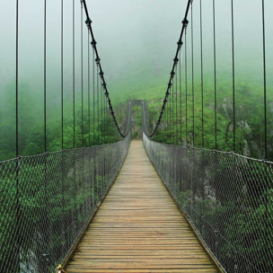 Tableau pont suspendu foret Toile imprimée