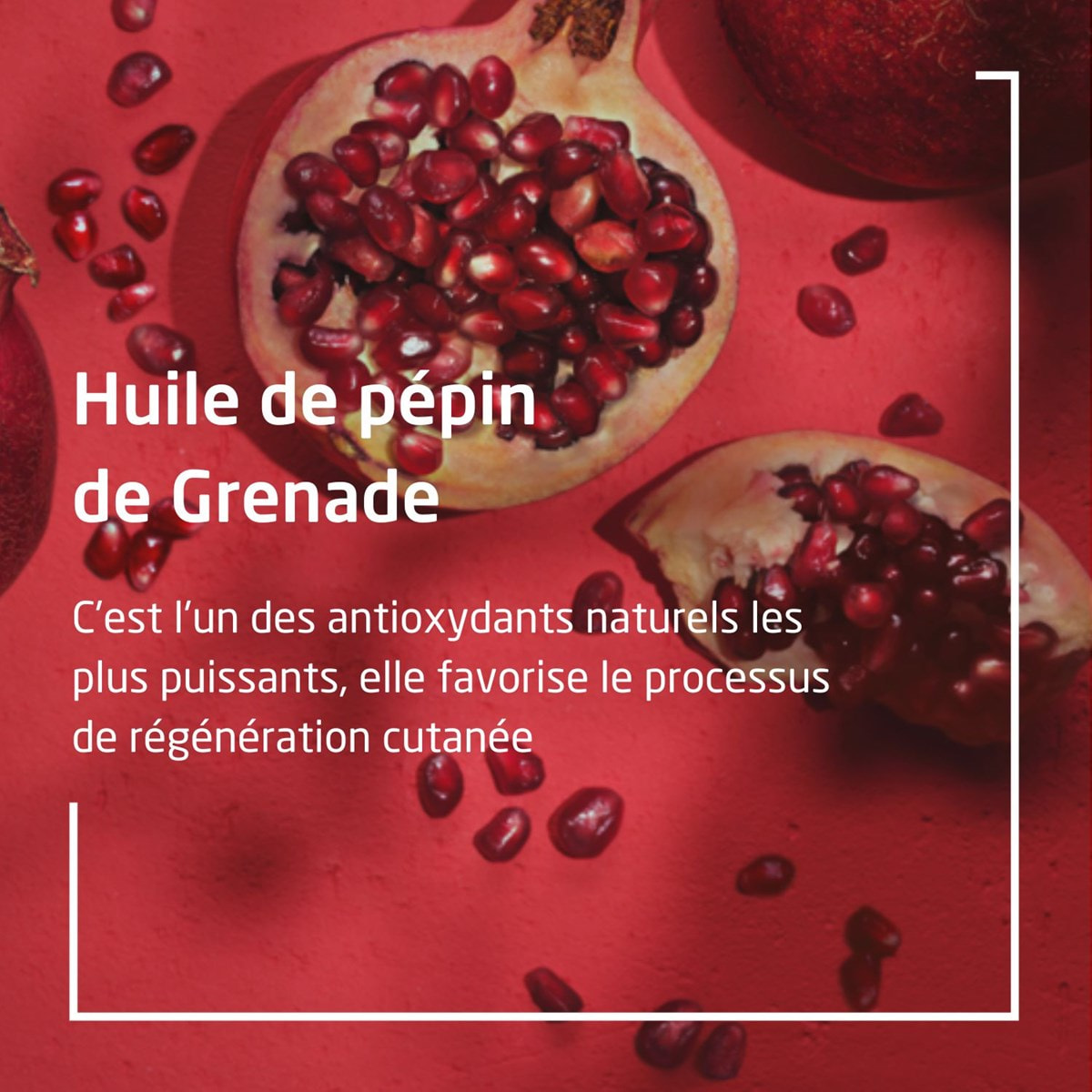 WELEDA - Huile raffermissante Visage Grenade - 30 ml