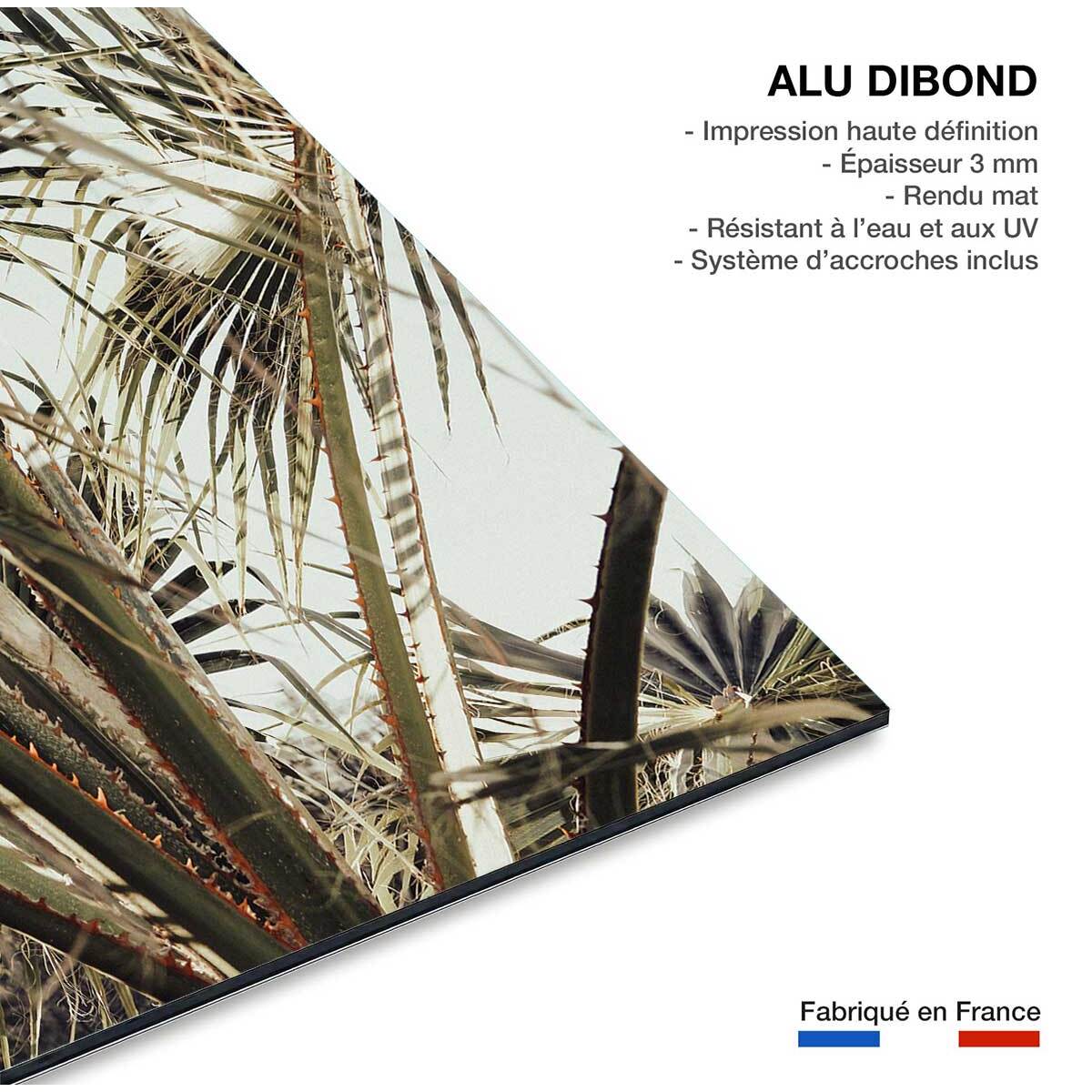 Tableau cœur de palmier Tableau alu Dibond