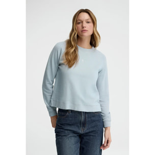 Felpa azzurra con maniche raglan e ricamo Rigby Go