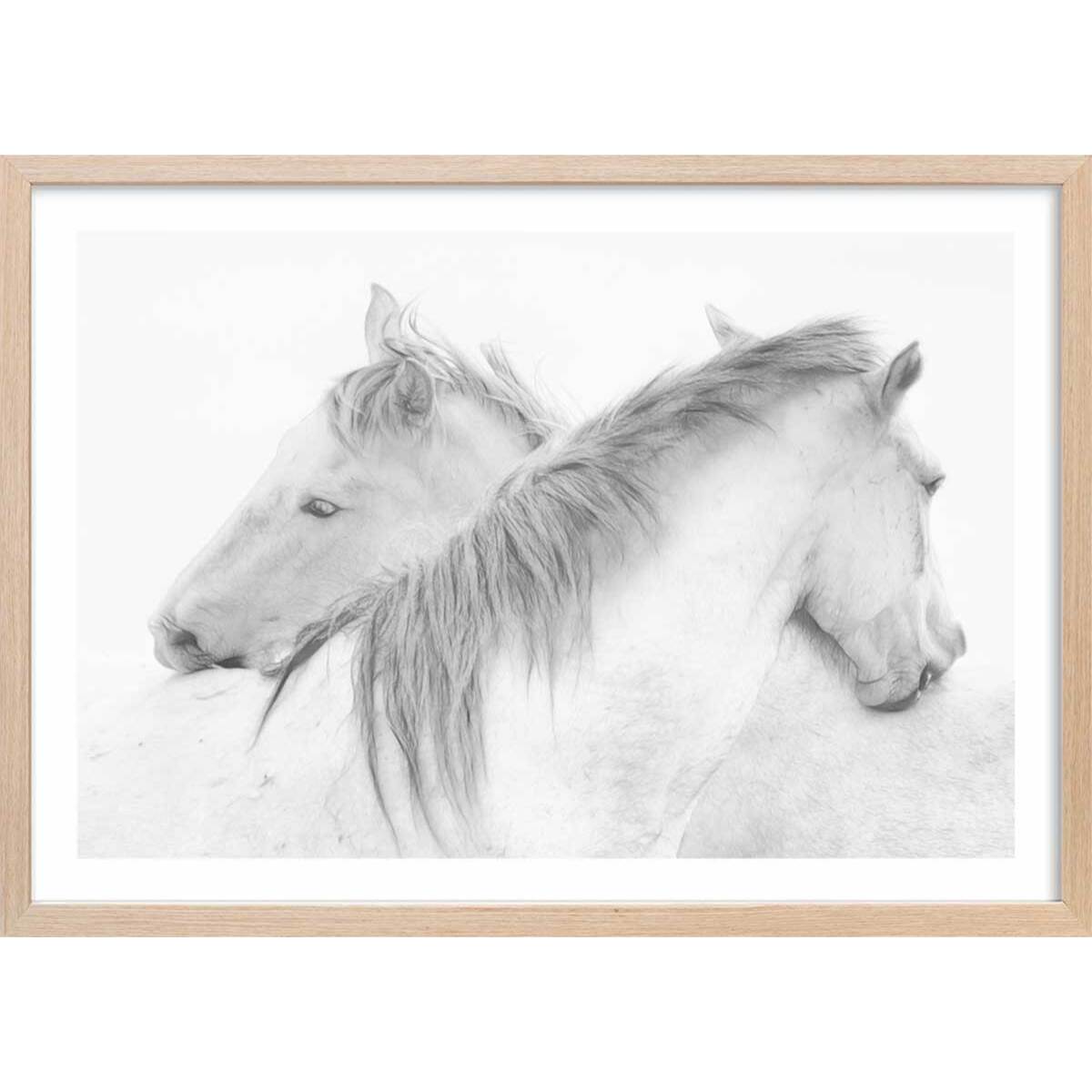 Poster chevaux blancs au crayon de bois Affiche + cadre en bois - Chêne