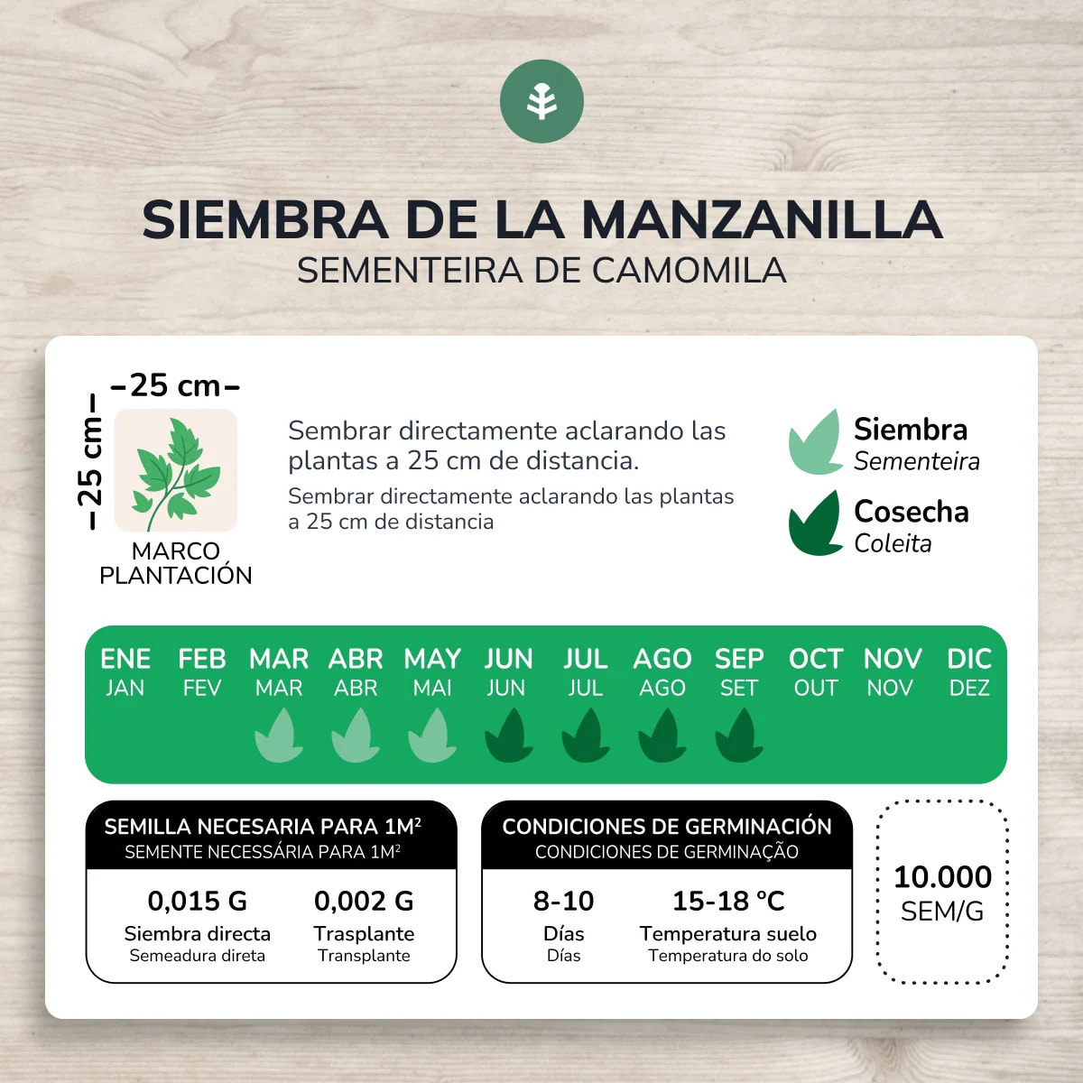 Semillas de Manzanilla camomila ecológicas Planeta Huerto