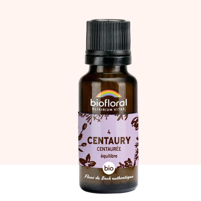 Biofloral - 04 Centaury, Centaurée - Bio - 19,5 gr