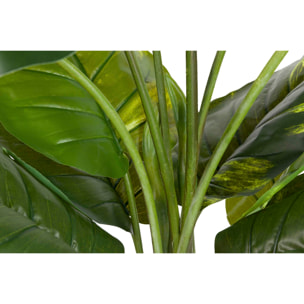 Planta Artificial Rhadhidophora Aureum Con Maceta 80x80x160 Cm
