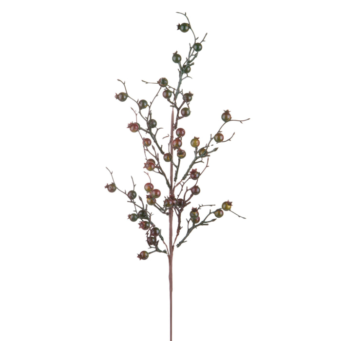 Ramo bacche - Pezzi 12 - 12xH76x3cm - Bianchi Dino SpA