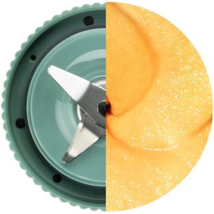 Blender NUTRIBULLET FLEX - Evergreen NBP013GR