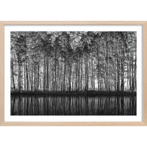 Affiche nature pointillisme Affiche + cadre en bois - Chêne