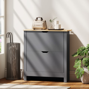 Armoire à chaussures 2 portes abattantes 2 compartiments anthracite naturel