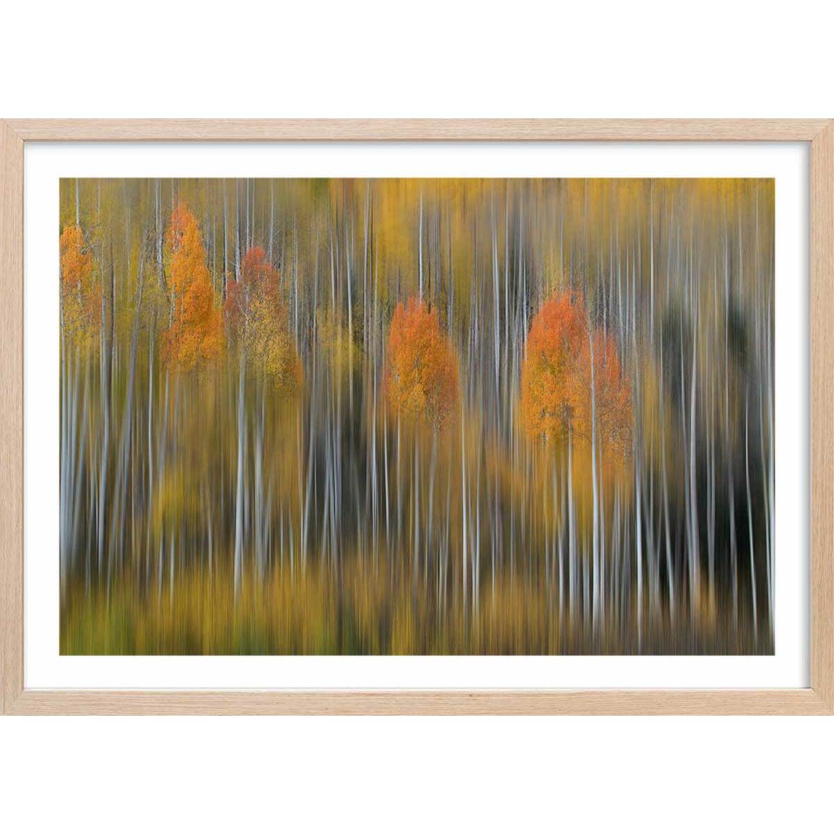 Affiche forêt et Impression d'automne Affiche + cadre en bois - Chêne