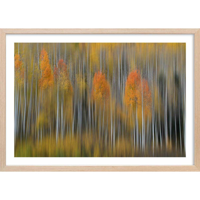 Affiche forêt et Impression d'automne Affiche + cadre en bois - Chêne