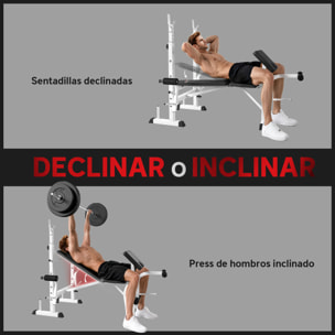 Banco de Musculación Multifuncional Inclinable, Banco de Pesas, Press Banca con Soporte para Barra Ajustable, Extensión de Piernas, Curl de Predicador, Mariposa, Entrenamiento en Casa, Gimnasio
