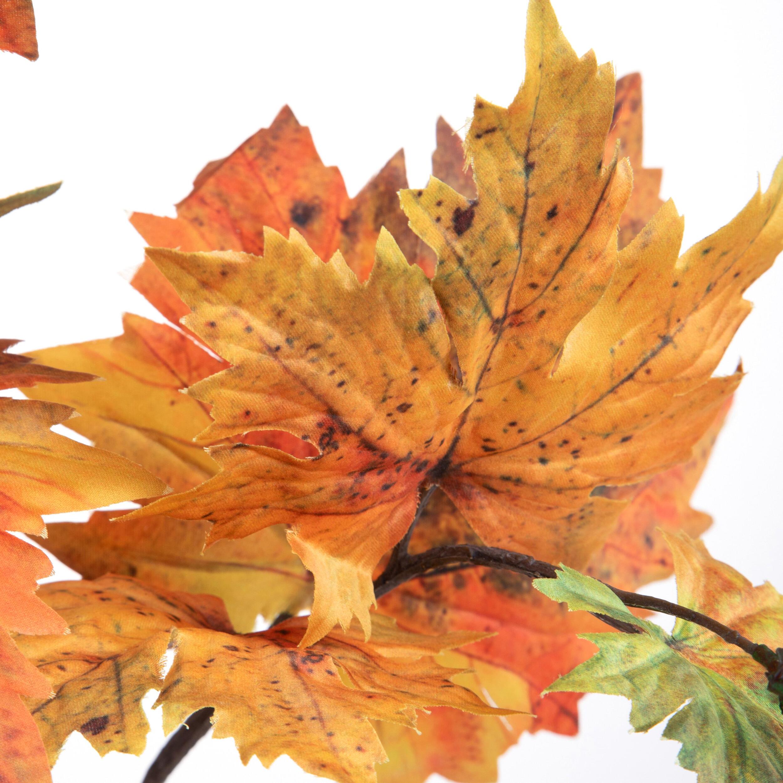 Platano - Pezzi 12 - 20xH99x20cm - Bianchi Dino SpA