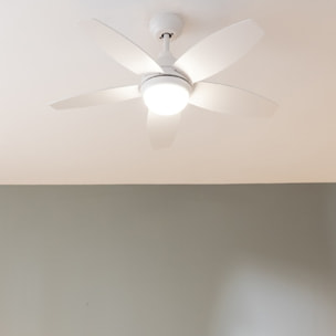 Cecotec Ventilateur de plafond avec lampe EnergySilence Aero 4200 LightWood