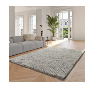 ATESA Alfombra shaggy suave estilo escandinavo plata, varias medidas disponibles