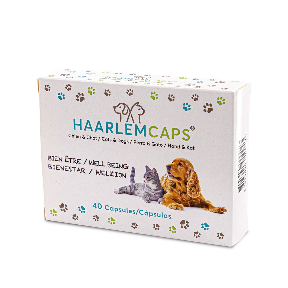 HUILE DE HAARLEM - 40 capsules - Chien / Chat