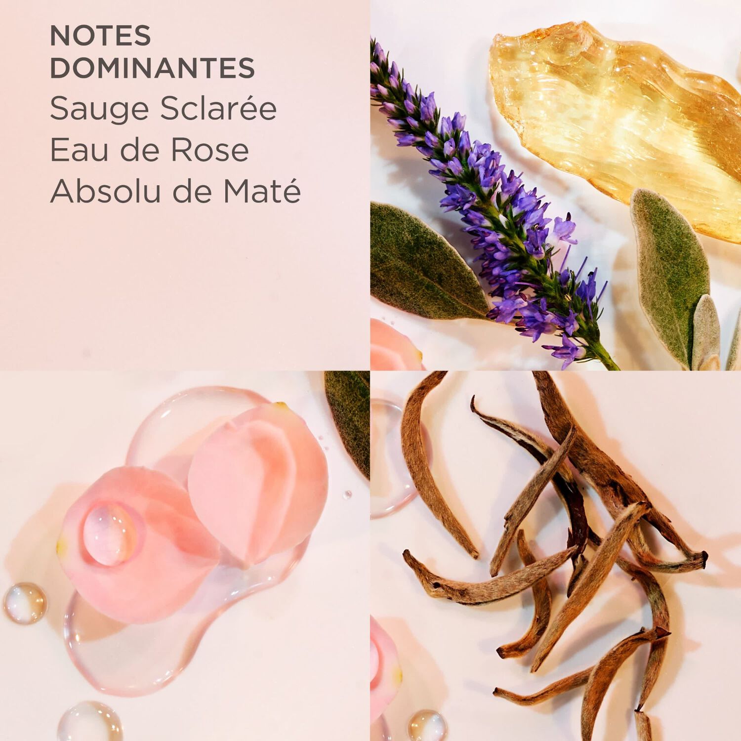 White Tea - Coffret White Tea 3 Miniatures