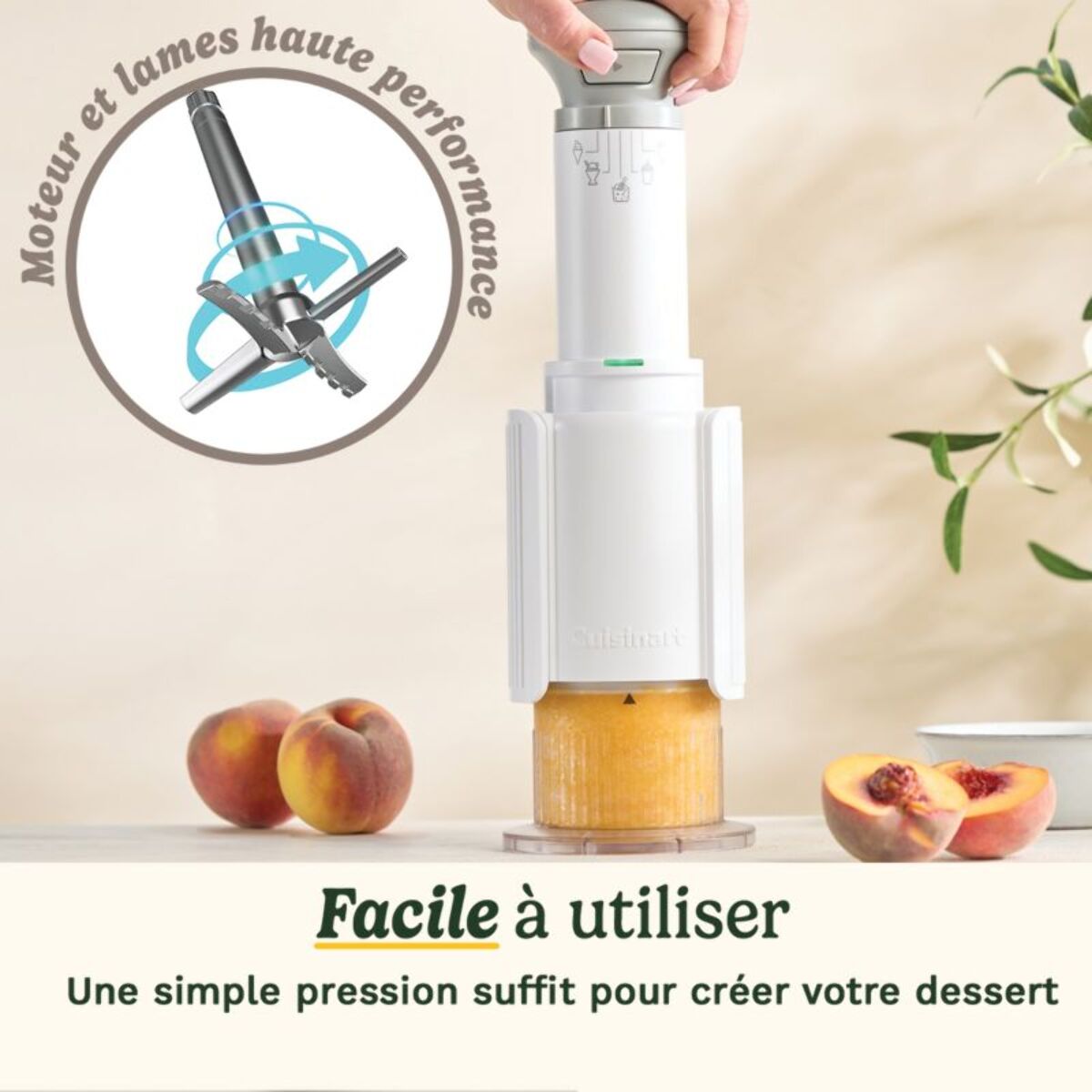 Sorbetière CUISINART Freeze Wand ICEFD10E