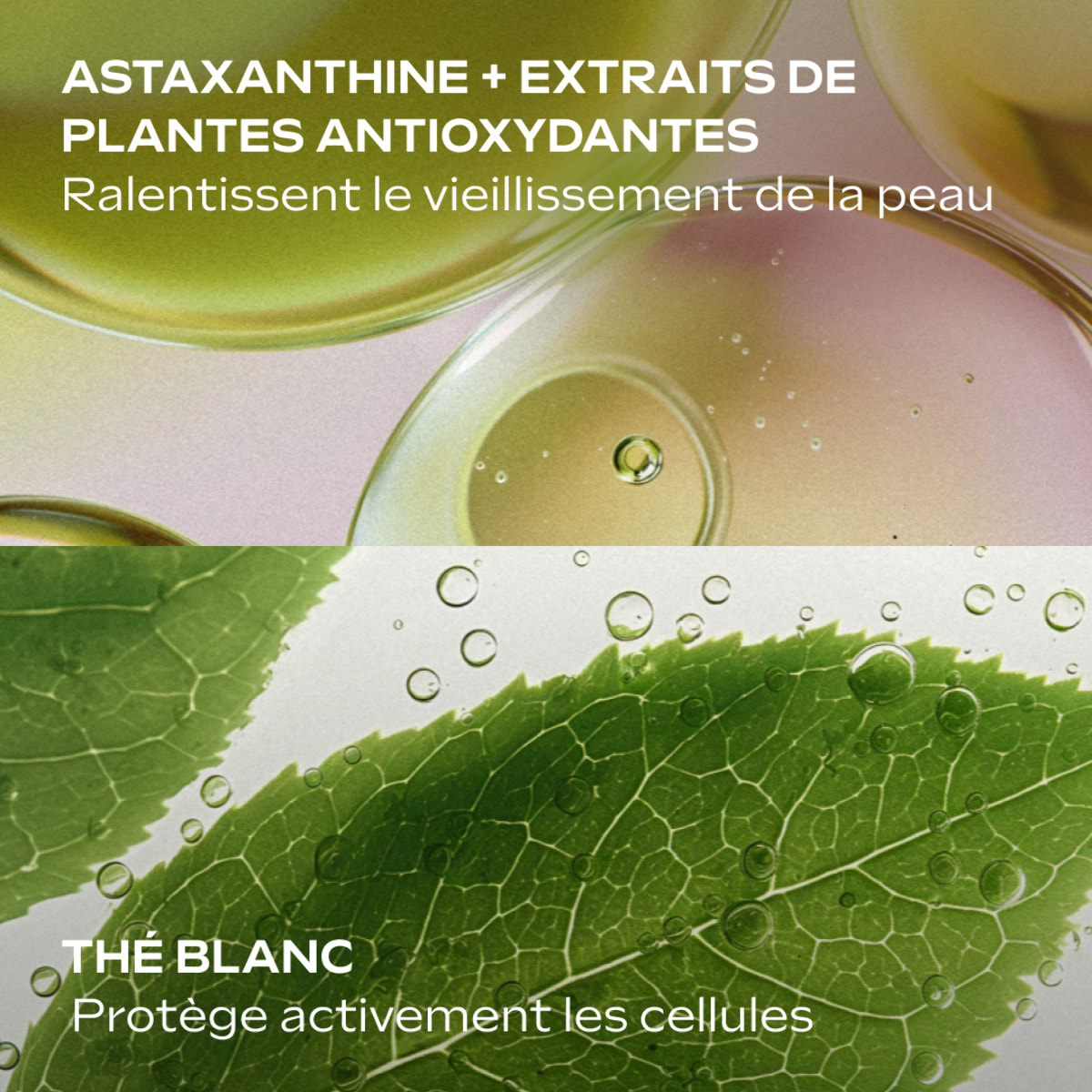 WELEDA - Slow Aging Astaxanthin Serum Drops - Anti-âge - 30 ml