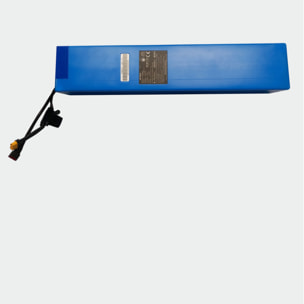 Batterie 48V/15AH 500CT