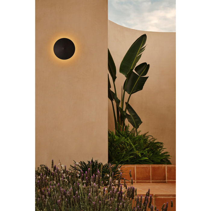 CLAP Proyector aplique/plafón negro 6W 3000K 38º con pantalla