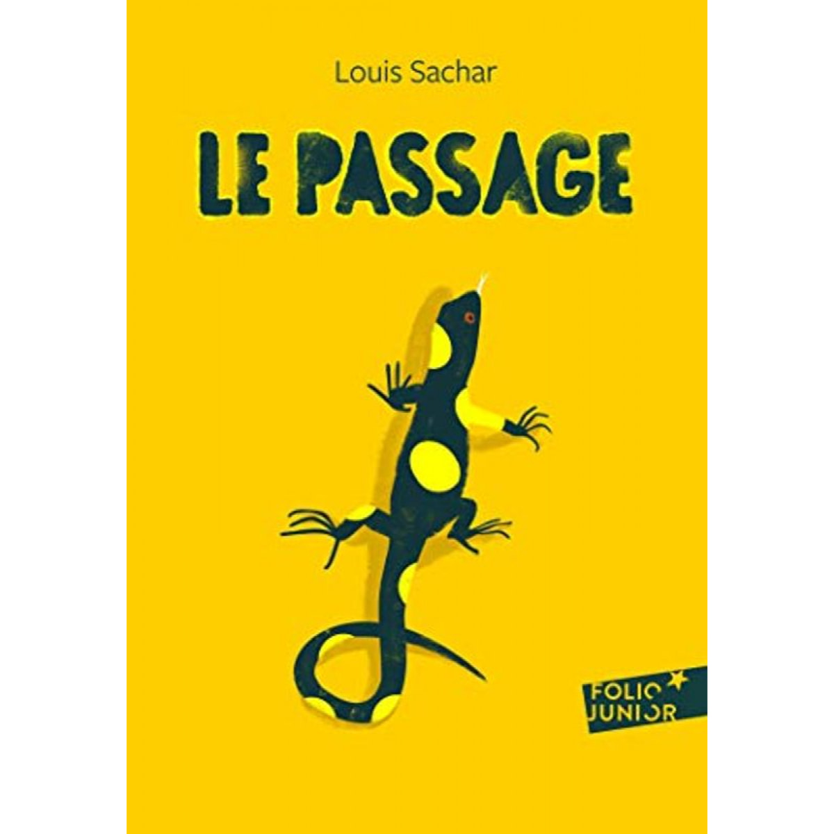 Sachar,Louis | LE PASSAGE | Livre d'occasion