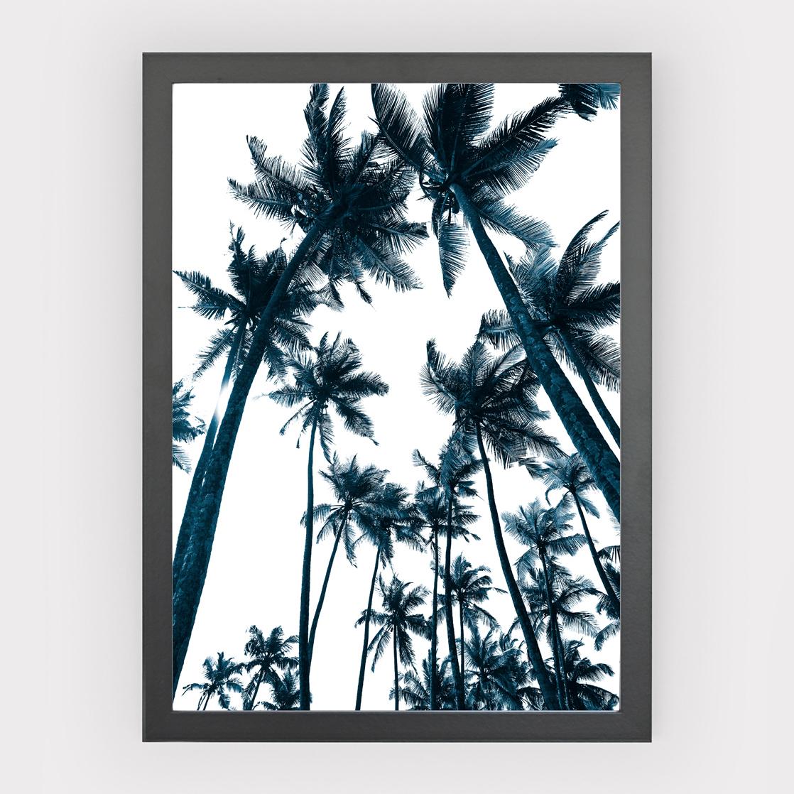 Poster Blue Palms