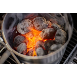 Briquette de charbon WEBER de briquettes 8kg de noix de coco