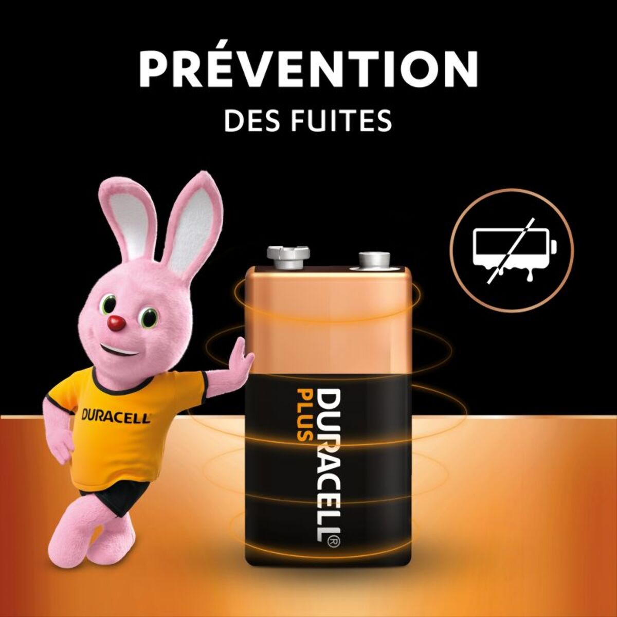 Pile DURACELL 9V PLUS x1