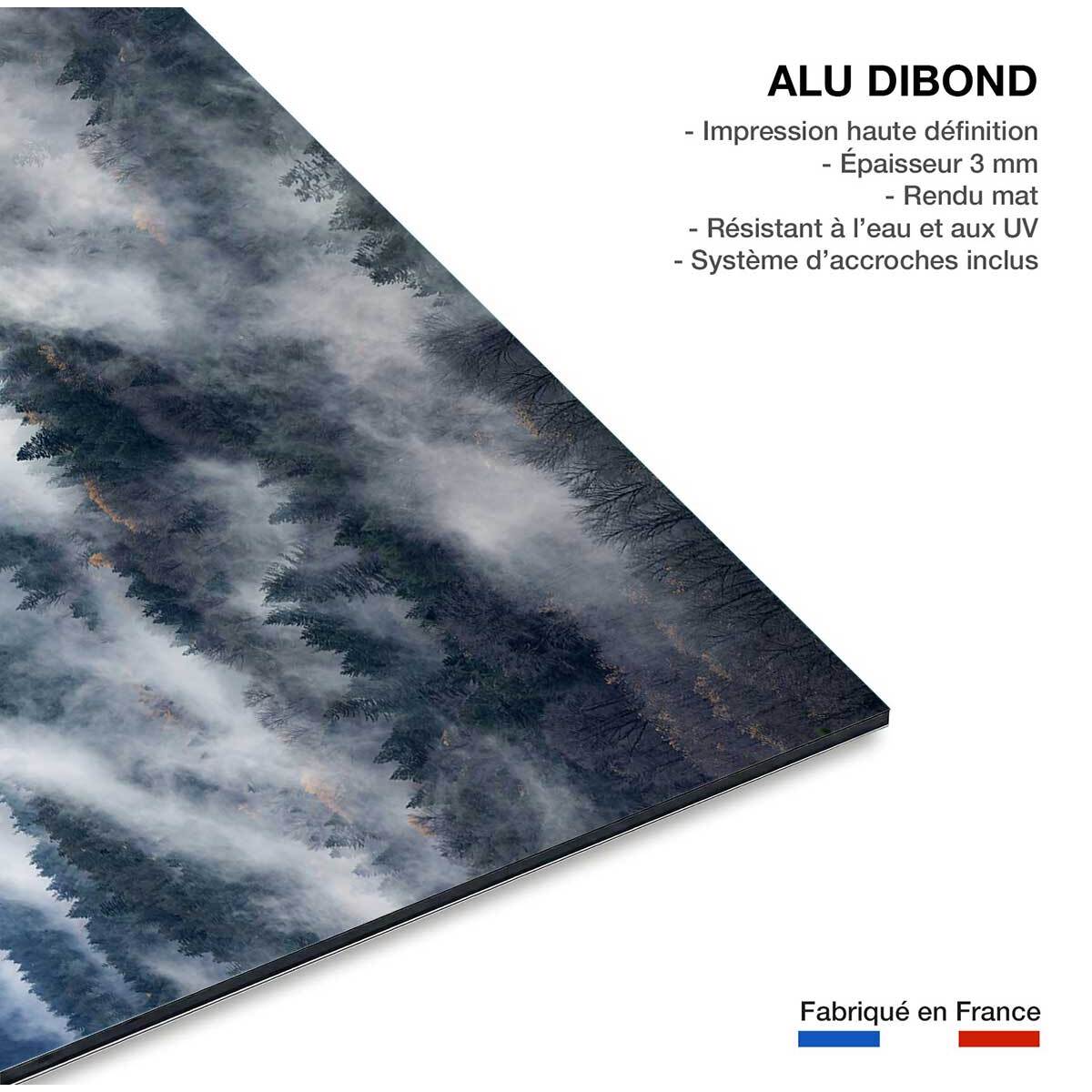 Tableau vallée Tableau alu Dibond