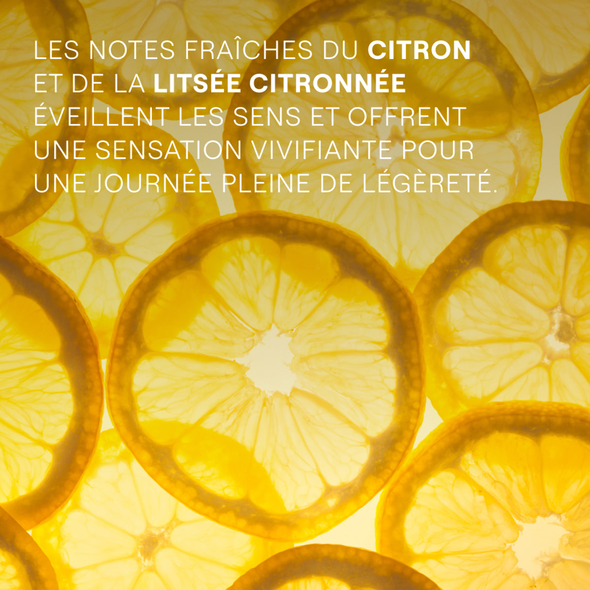 WELEDA - Crème de Douche Refresh Citron Rafraîchissant - 200 ml