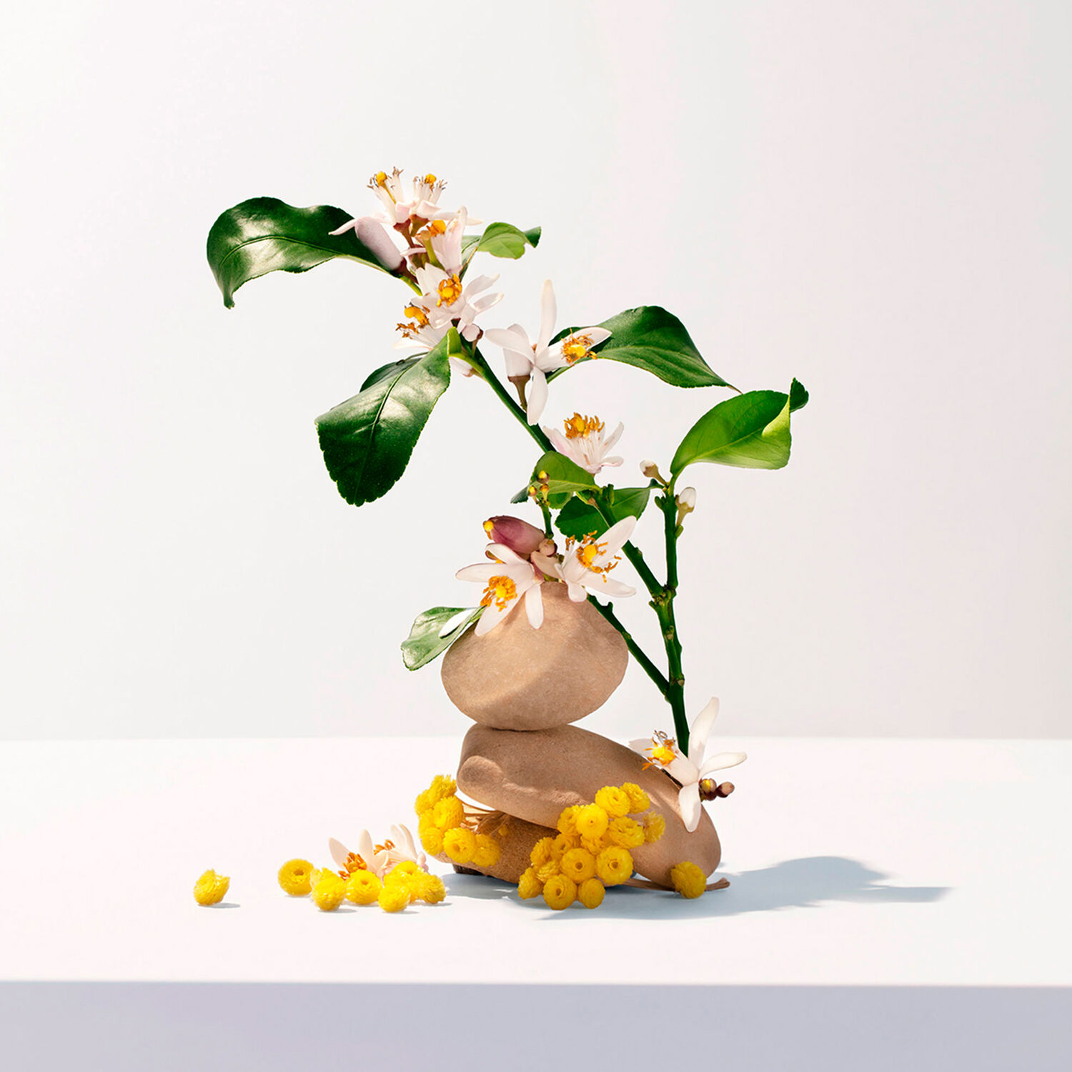 Néroli - Eau Parfumée Bienfaisante